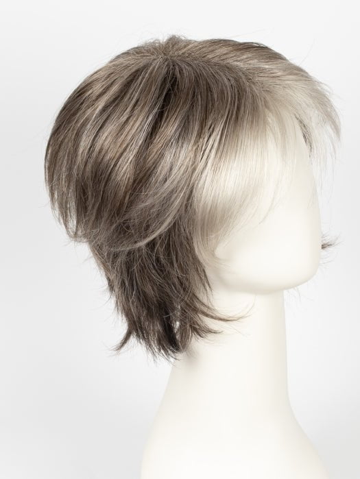 SANDY SILVER | Medium Brown Transitionally Blending to Silver and Dramatic Silver Bangs